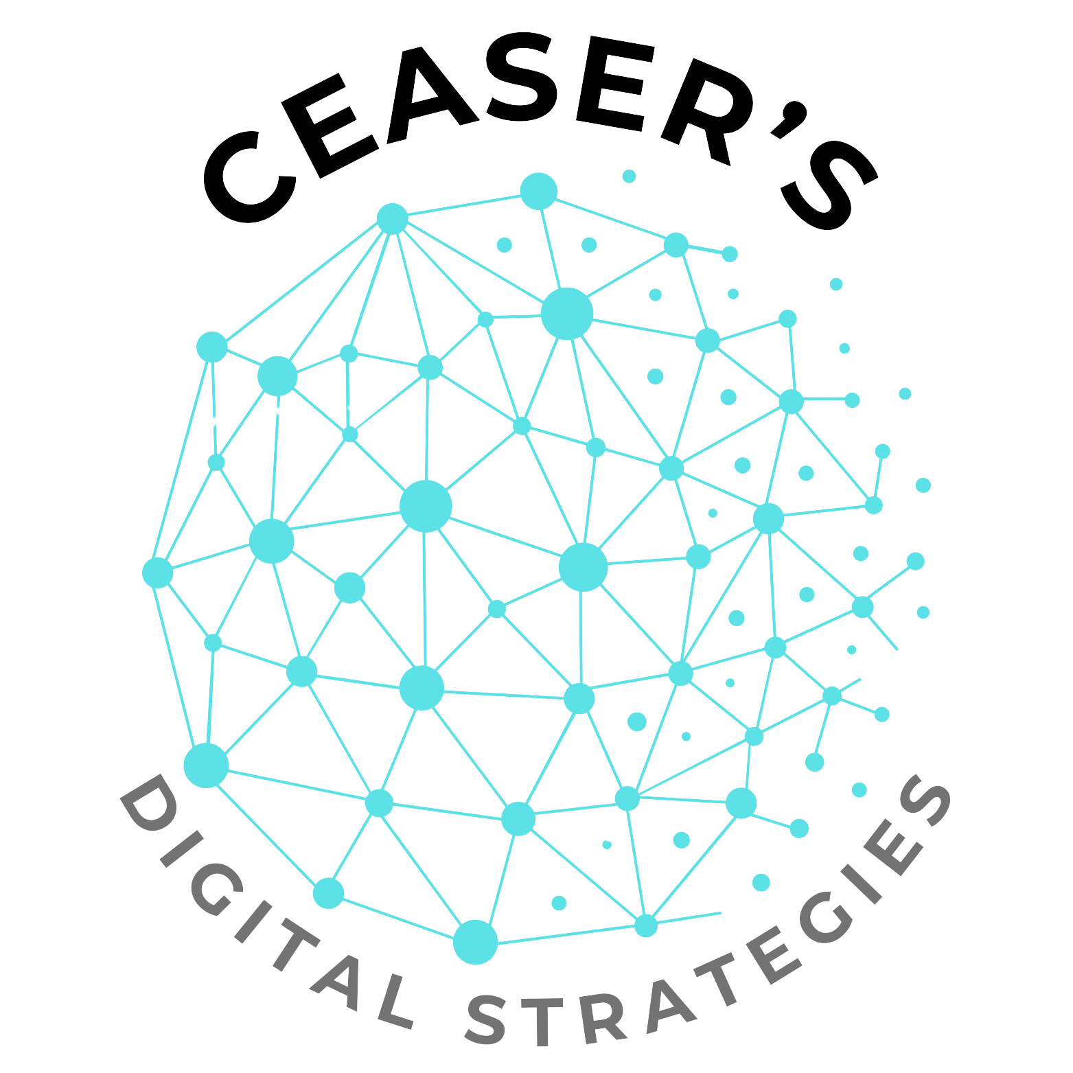 Ceaser's Digital Strategies Logo Ceaser's Digital Strategies Logo