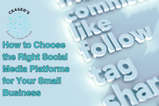 Graphic for blog article published by Ceaser's Digital Strategies, an Iowa Digital Marketing agency located in central, Iowa.