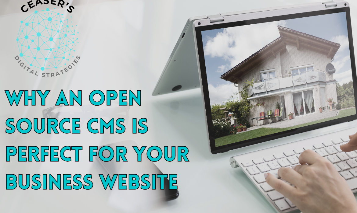 Blog graphic for an article outlining why an open source CMS is perfect for business websites in Iowa.