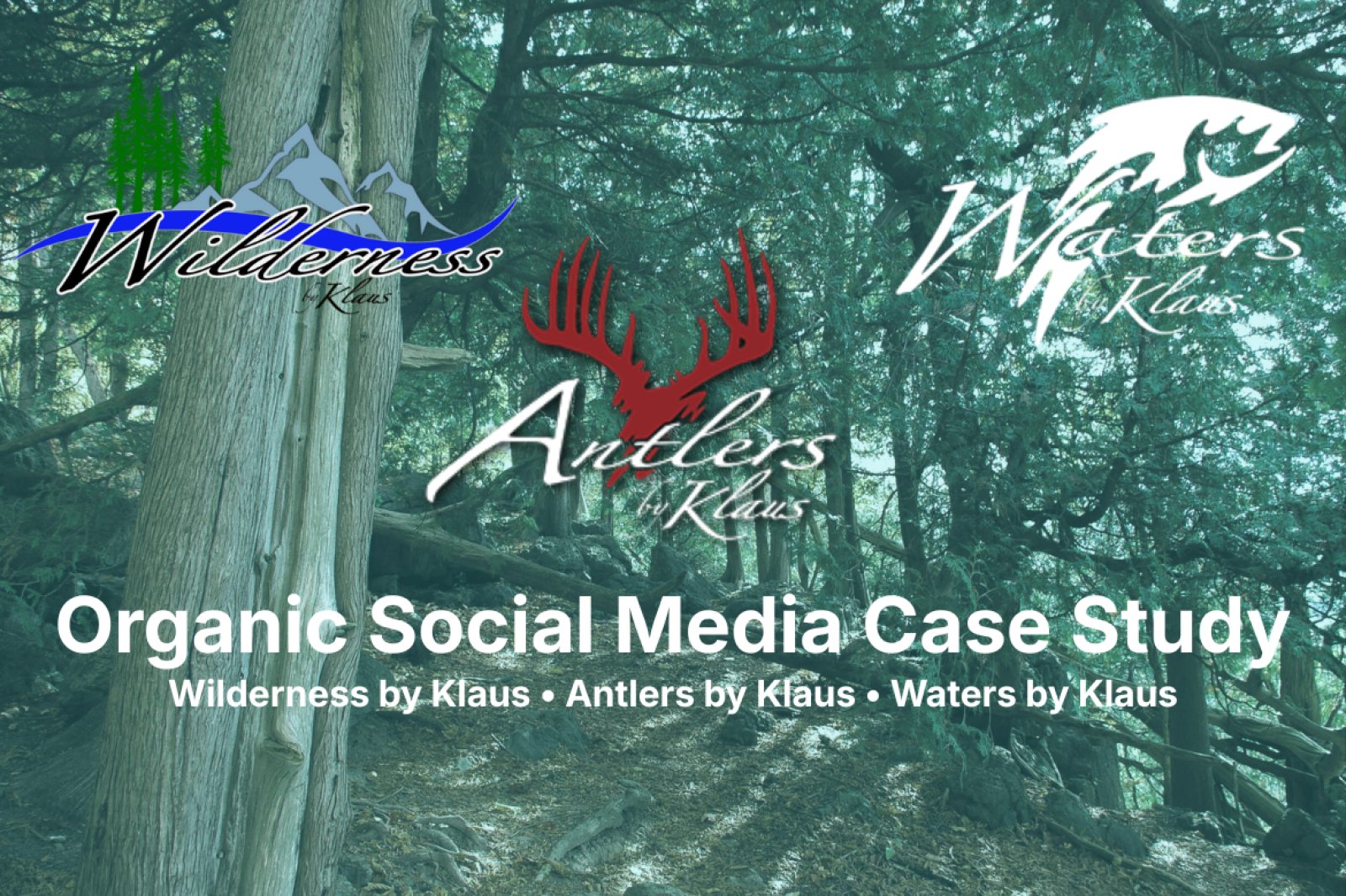 graphic for a case study outlining the massive growth in social media success by Ceasers Digital Strategies as they took over management of social accounts for the Klaus family of brands.